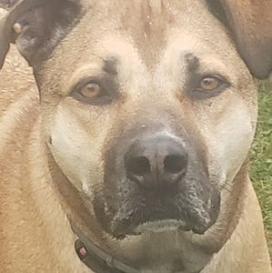 Meet your Posher, Adair